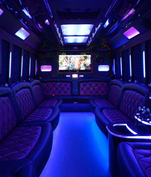 30 passenger party bus